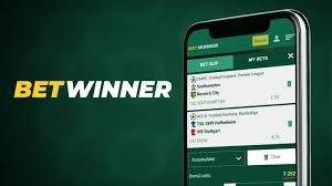 BetWinner Mobile App A Comprehensive Guide to Betting On-the-Go